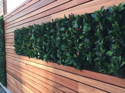 IPE Wood cladding