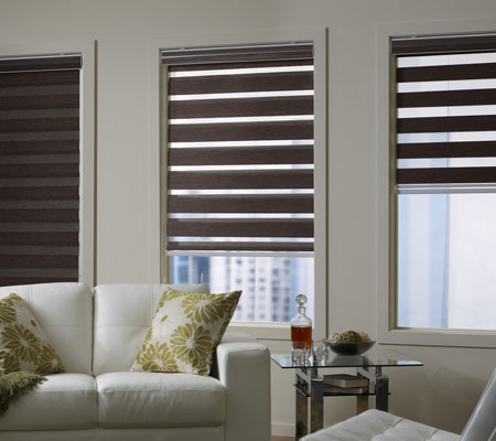 Zebra Blinds